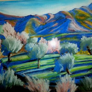 The Sierra in February #3