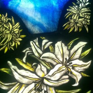 Lillies